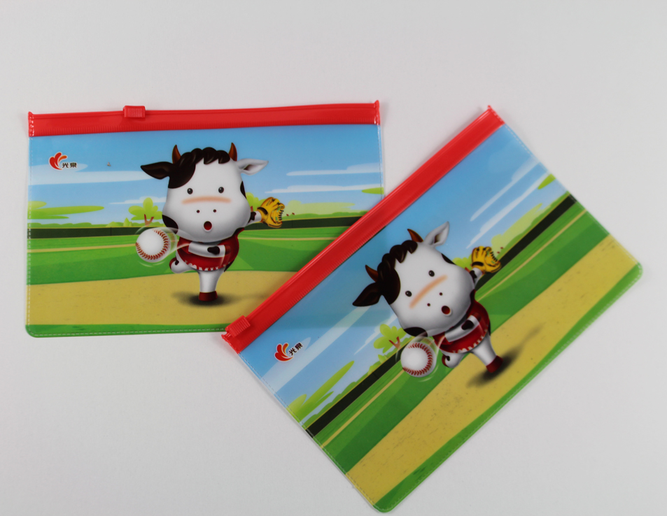 Printed Zipper PVC Bag 